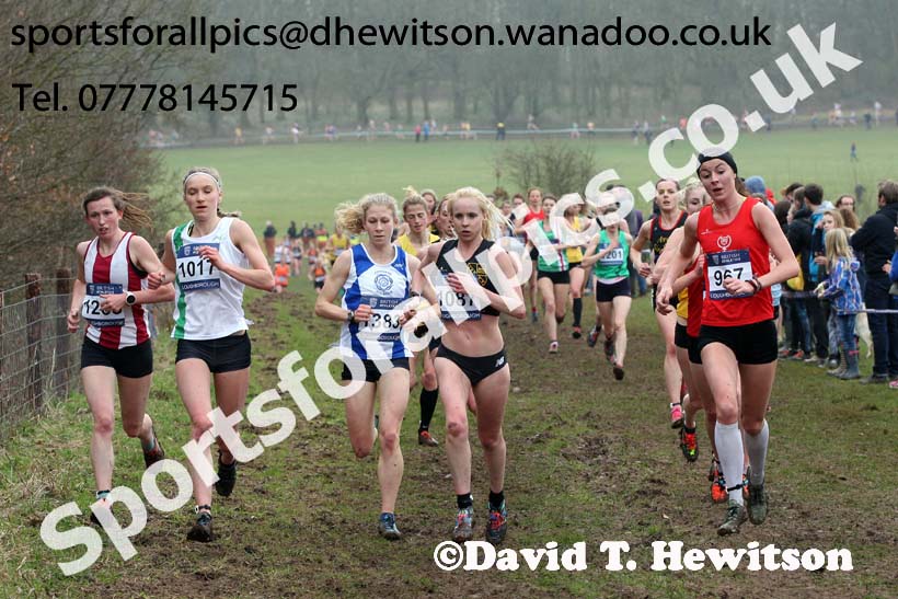 Senior womens Inter Counties Cross Country, Prestwold Hall, Loughborough. Photo: David T. Hewitson/Sports for All Pics